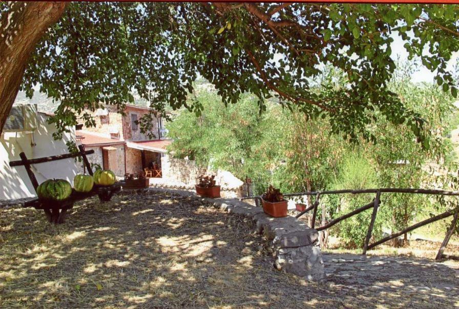 Grassetti Villa Montegiordano Exterior photo